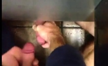 Understall Suck