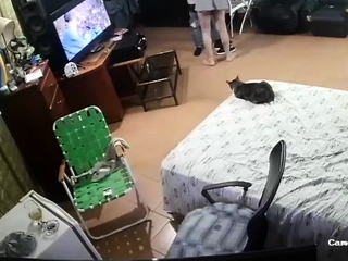 Free Mobile Porn - Real Dadson Ip - 6275772 - IcePorn.com