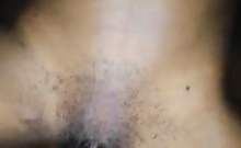 Big tit amateur sucks and tit fucks a big cock